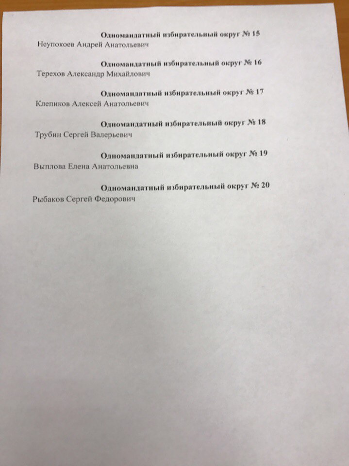 Новый лидер омских либерал-демократов назвал кандидатов в горсовет