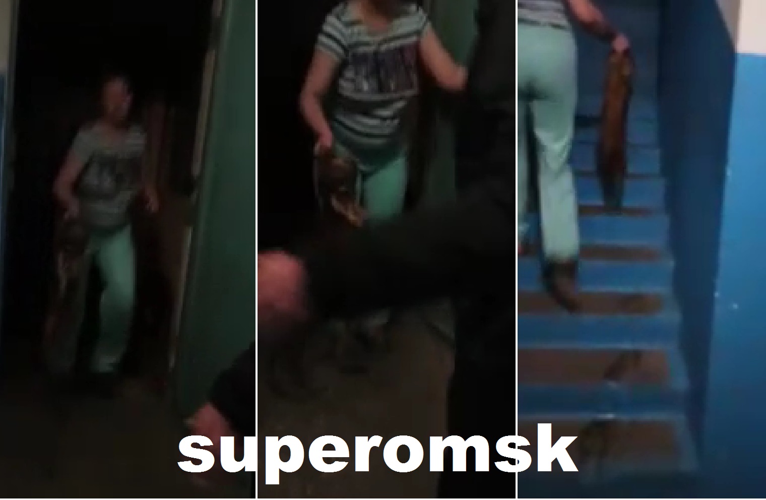 «Собака жила в доброте и любви»: омичка, которую обвиняют в жестоком убийстве пекинеса, жалуется на гонения в соцсетях