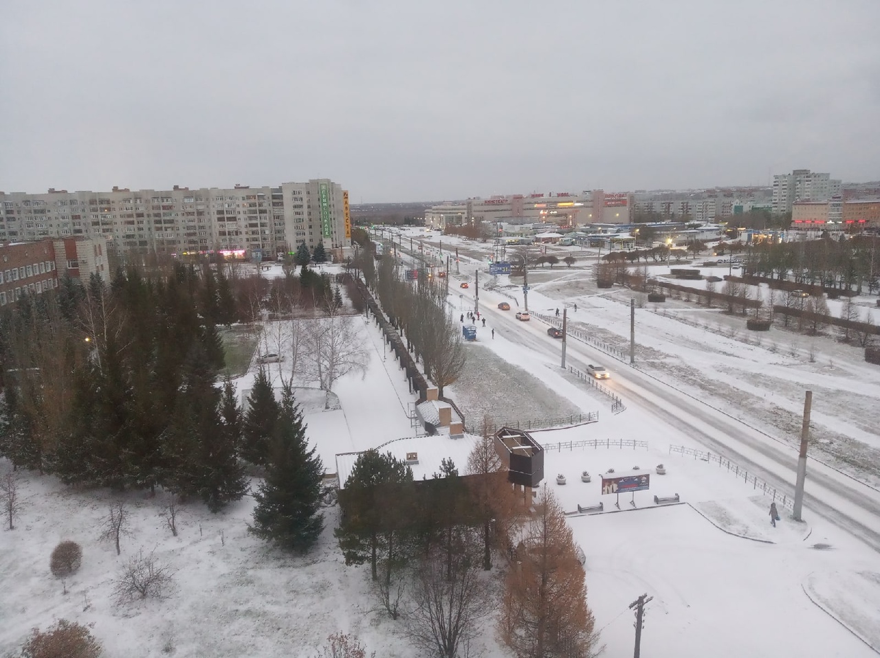 В Омске выпал первый снег