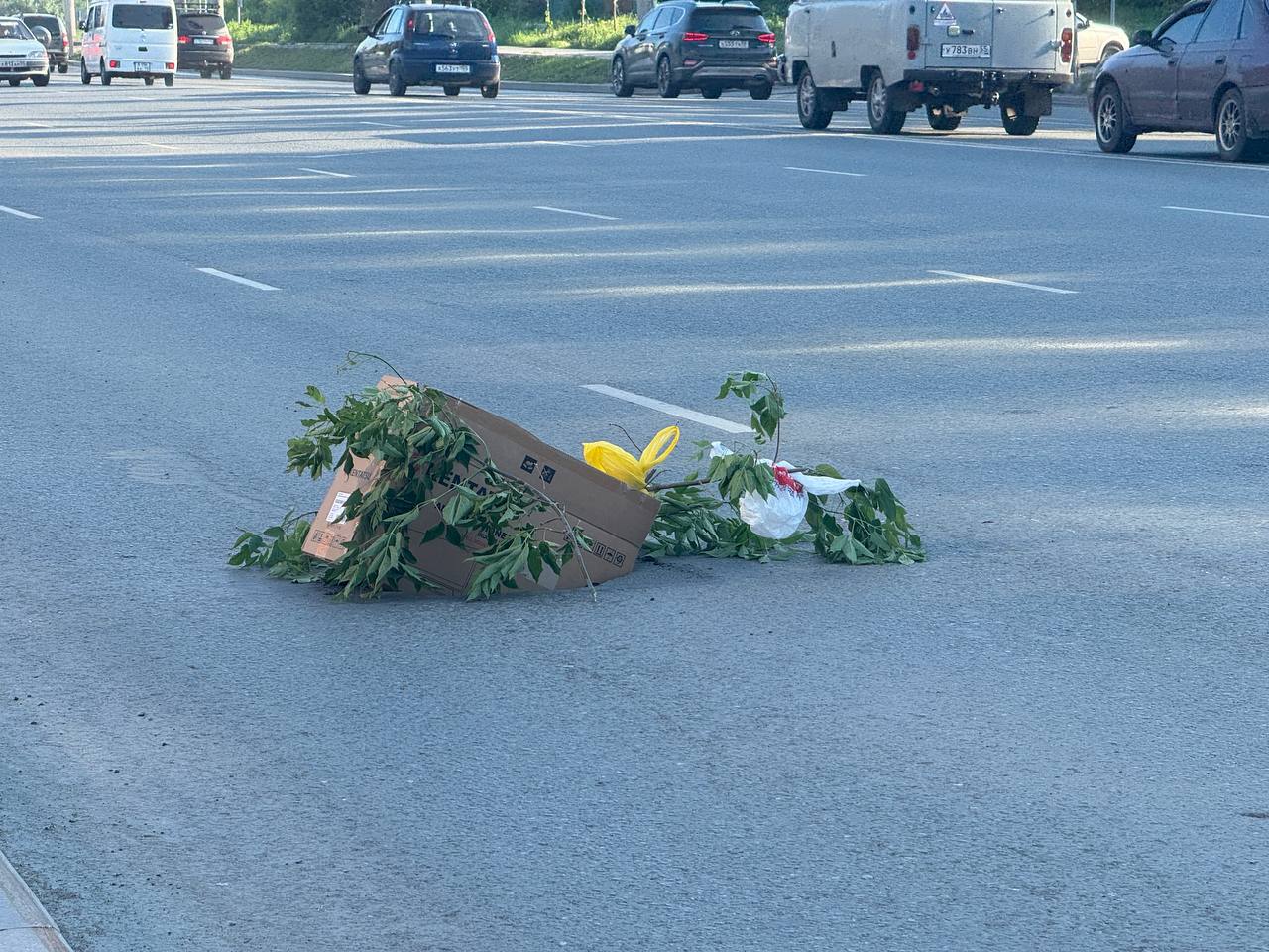 На дороге в центре Омска образовалась яма
