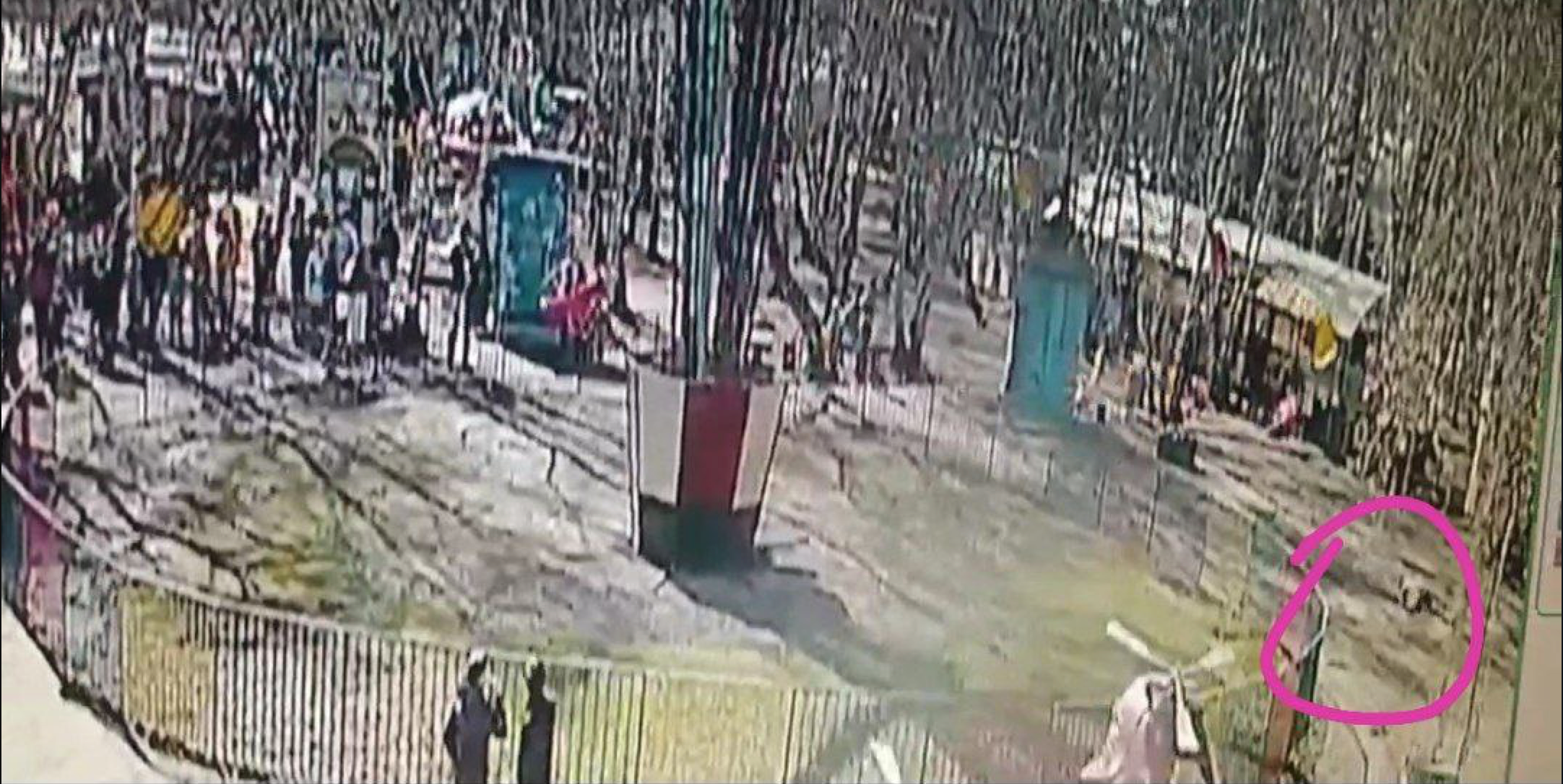 Появились кадры с места падения омички в парке 30-летия ВЛКСМ Появились кадры с места падения омички в парке 30-летия ВЛКСМ