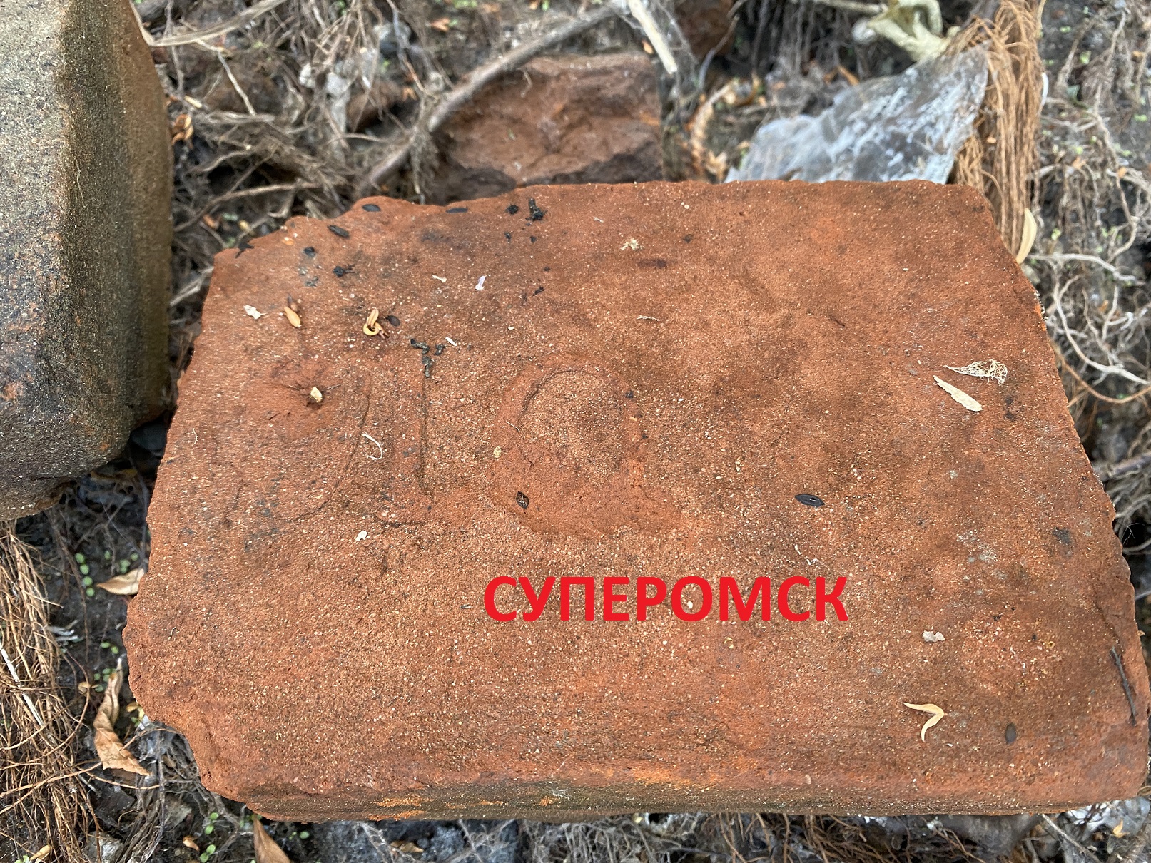 На берегу Оми в Омске найдены древние кирпичи с неизвестными клеймами На берегу Оми в Омске найдены древние кирпичи с неизвестными клеймами