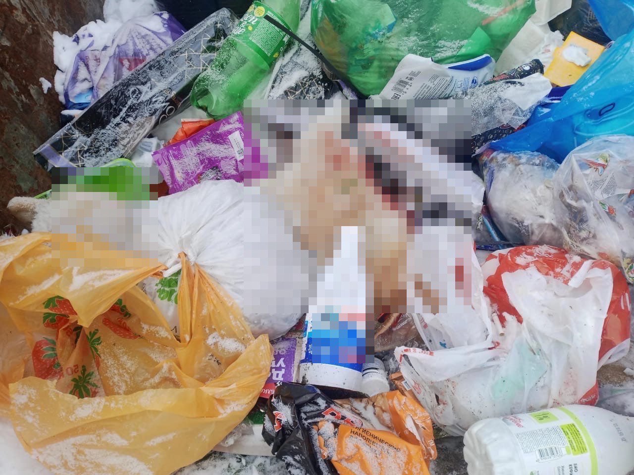 Омичи жестоко убили пса Валерика на глазах у ребенка Омичи жестоко убили пса Валерика на глазах у ребенка