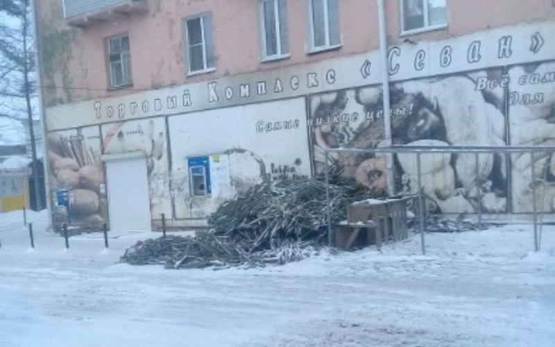 Омск завалило бесхозными елками Омск завалило бесхозными елками