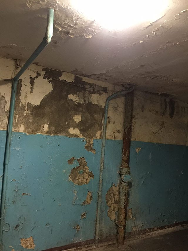 Омичка показала ужасы своего подъезда Омичка показала ужасы своего подъезда