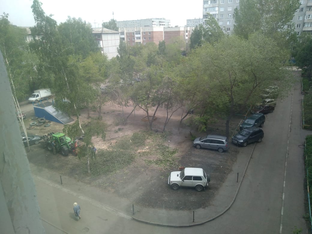 В омском дворе уничтожили деревья ради платной парковки под окнами дома – фото, видео В омском дворе уничтожили деревья ради платной парковки под окнами дома – фото, видео