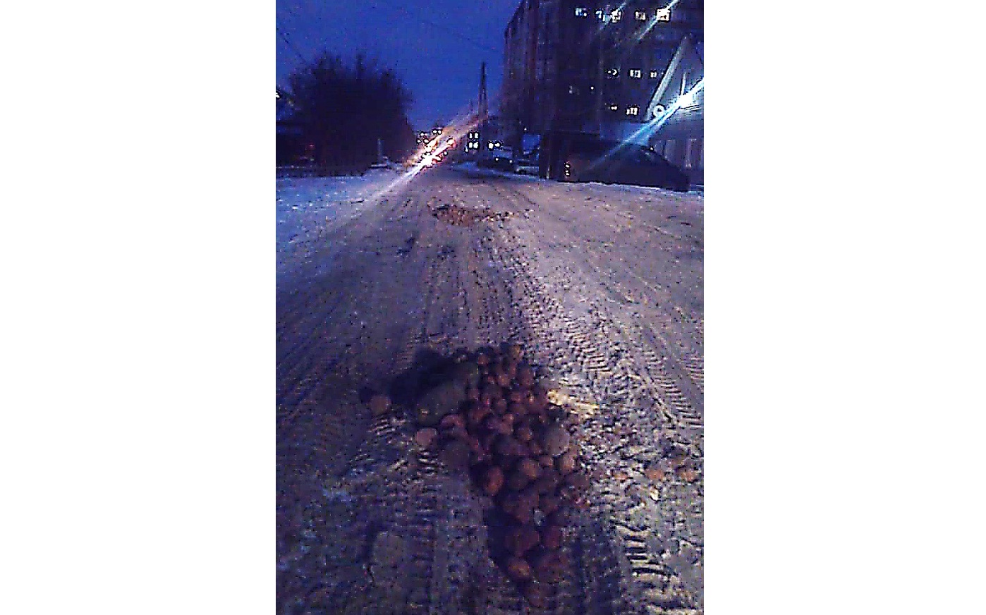 В центре Омска дорогу «починили» с помощью картошки В центре Омска дорогу «починили» с помощью картошки