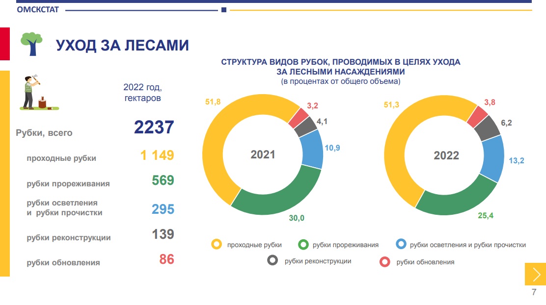В Омской области в 2022 году погибло 390 гектаров хвойных лесов В Омской области в 2022 году погибло 390 гектаров хвойных лесов
