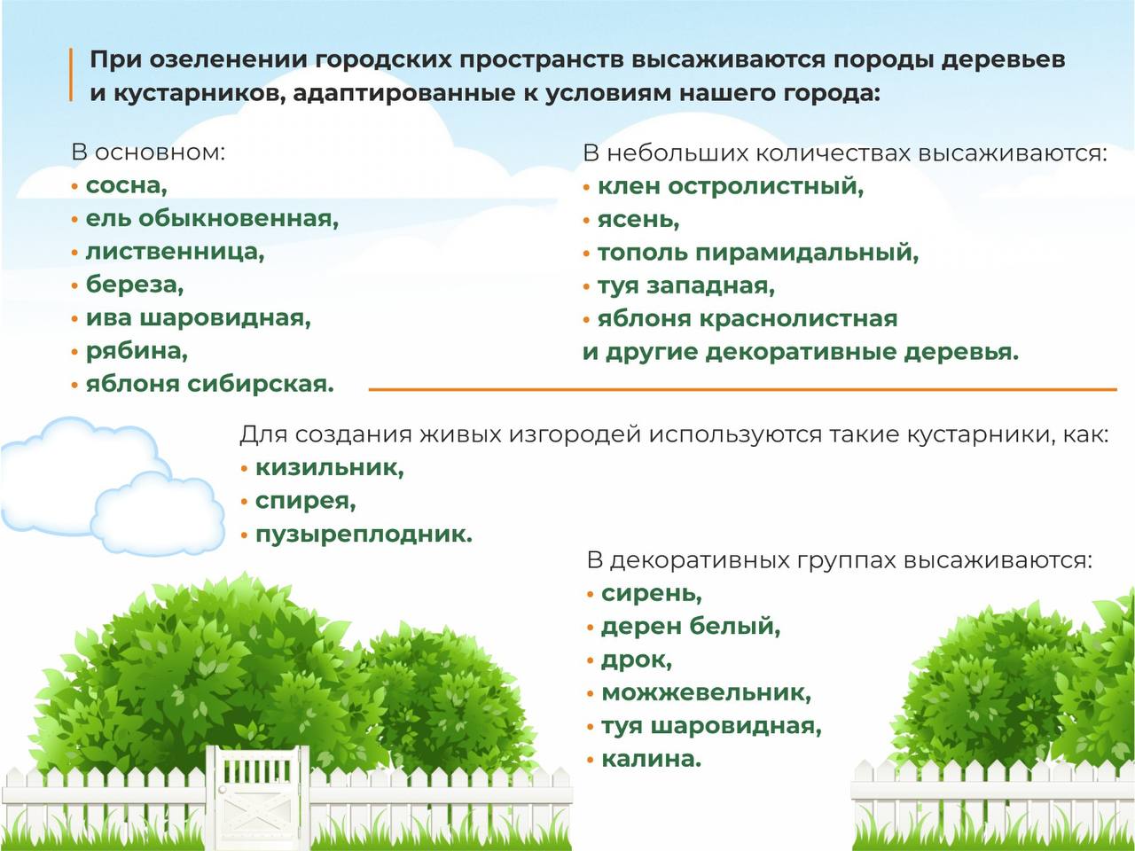 Заявлены масштабные планы по озеленению Омска в 2024 году Заявлены масштабные планы по озеленению Омска в 2024 году