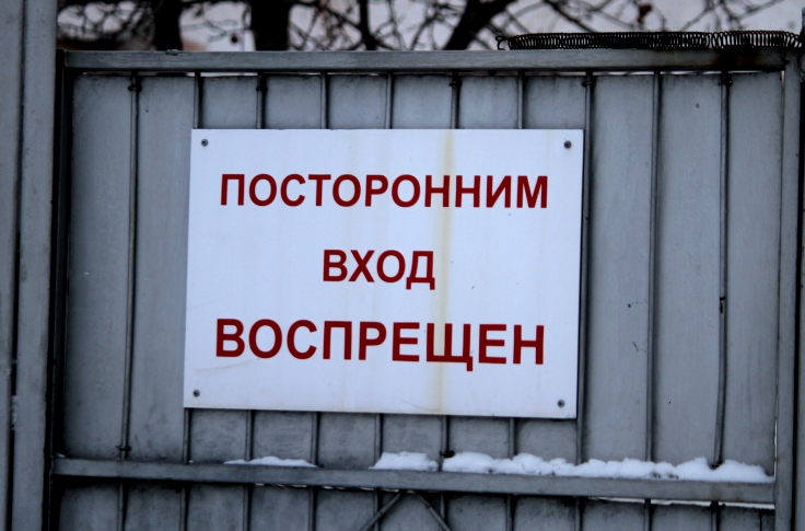 Специальный репортаж: собаки, которые обречены быть любимыми Специальный репортаж: собаки, которые обречены быть любимыми