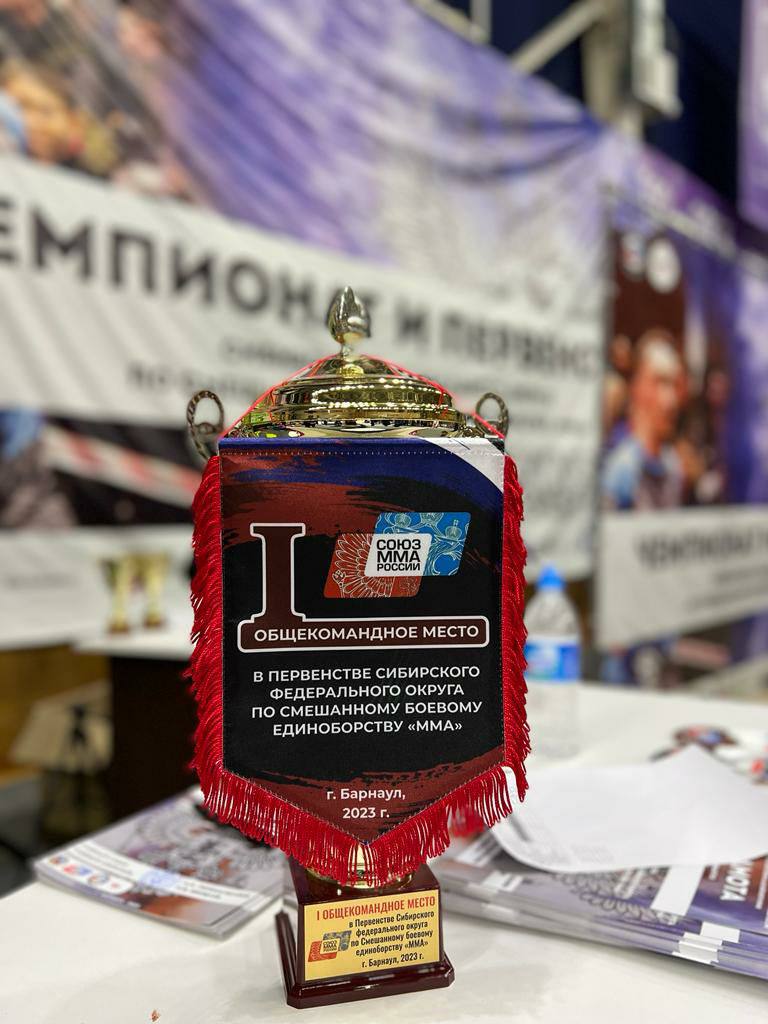 Сборная Омской области заняла первое место на чемпионате и первенстве Сибири по ММА Сборная Омской области заняла первое место на чемпионате и первенстве Сибири по ММА