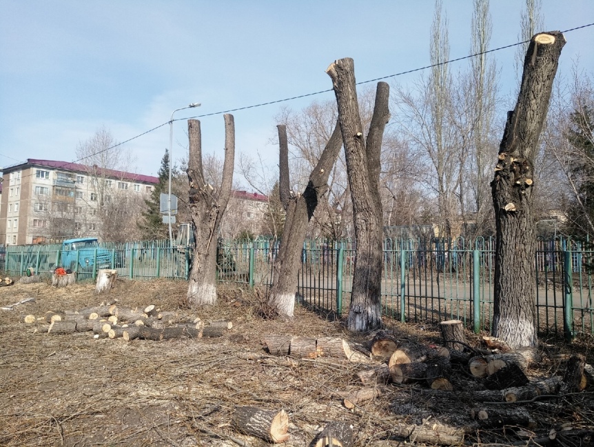 Депутат Инна Гомолко пришла на помощь омскому детсаду № 41 Депутат Инна Гомолко пришла на помощь омскому детсаду № 41