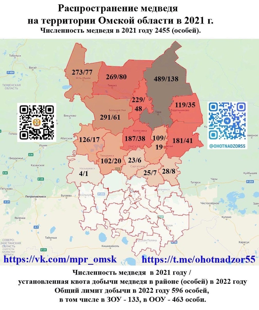 У омского поселка найдены медвежьи следы У омского поселка найдены медвежьи следы