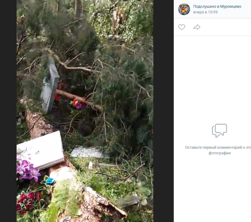 Ураган в Омской области устроил погром на кладбище Ураган в Омской области устроил погром на кладбище