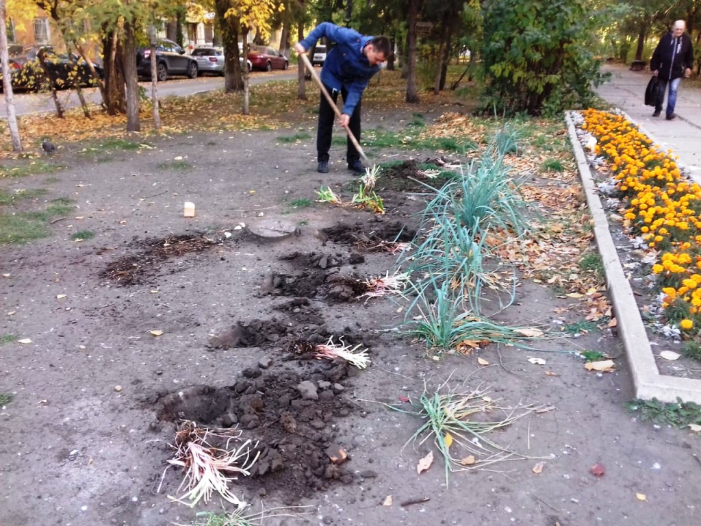 Самый активный округ омского субботника: фотохроники борьбы за чистоту улиц и дворов Самый активный округ омского субботника: фотохроники борьбы за чистоту улиц и дворов