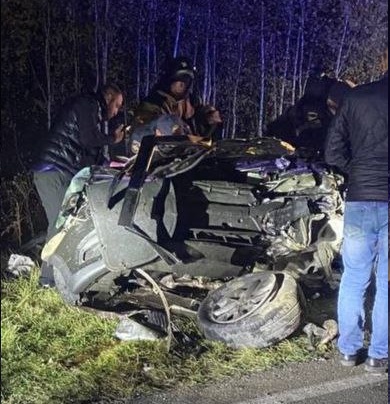 Появились кадры с места лобового ДТП из-за лося с четырьмя погибшими в Омской области Появились кадры с места лобового ДТП из-за лося с четырьмя погибшими в Омской области