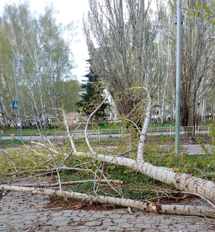 Ураган в Омске сносит крыши, заборы и деревья – ФОТООБЗОР