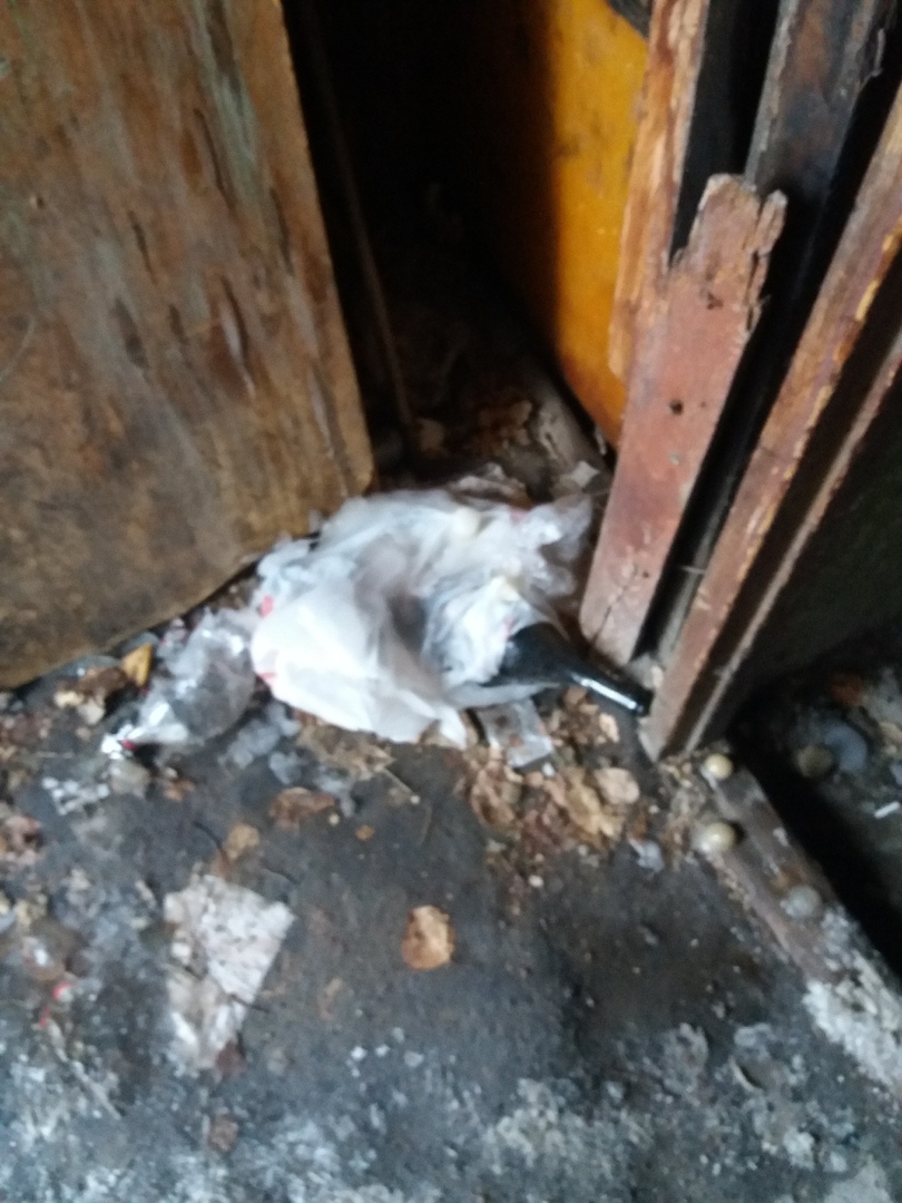 Омичи ужаснулись жуткому беспорядку в подъезде дома на 3-м Разъезде Омичи ужаснулись жуткому беспорядку в подъезде дома на 3-м Разъезде