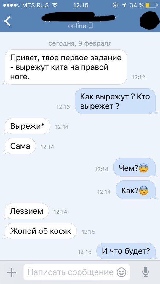 Обнародовано одно из заданий смертельной детской игры «Синий кит» Обнародовано одно из заданий смертельной детской игры «Синий кит»