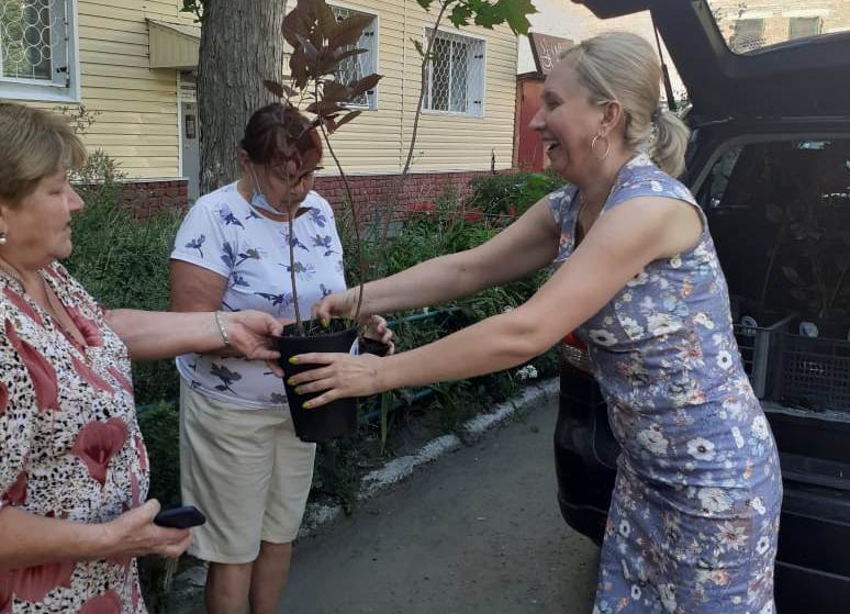 Омский депутат Инна Гомолко наградила участников смотра-конкурса «Омские улицы»