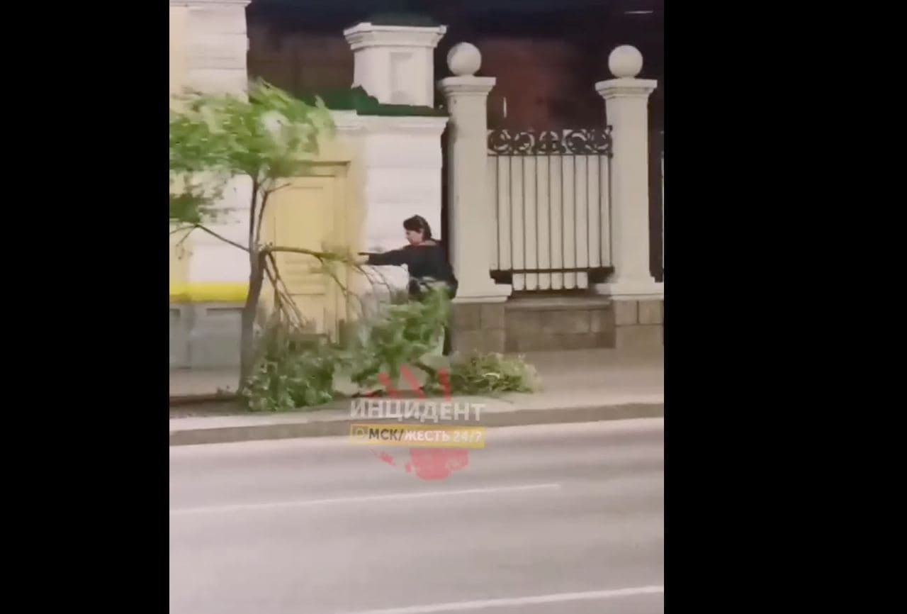 Появилось видео издевательств над ивами в центре Омска – вандал оказался неожиданным Появилось видео издевательств над ивами в центре Омска – вандал оказался неожиданным