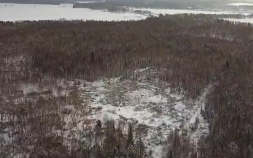 Рубка леса Рубка леса