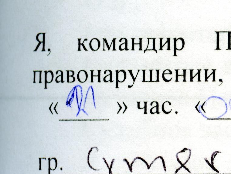 Омичи попросили Путина изменить приговор водителю, насмерть сбившему Владимира Кабанова