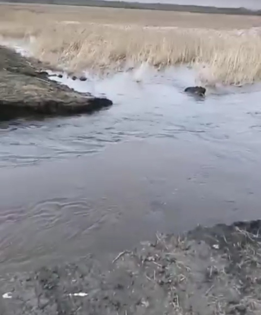 В Омской области в районе, где нашли необследованные дороги, вода размывает трассу