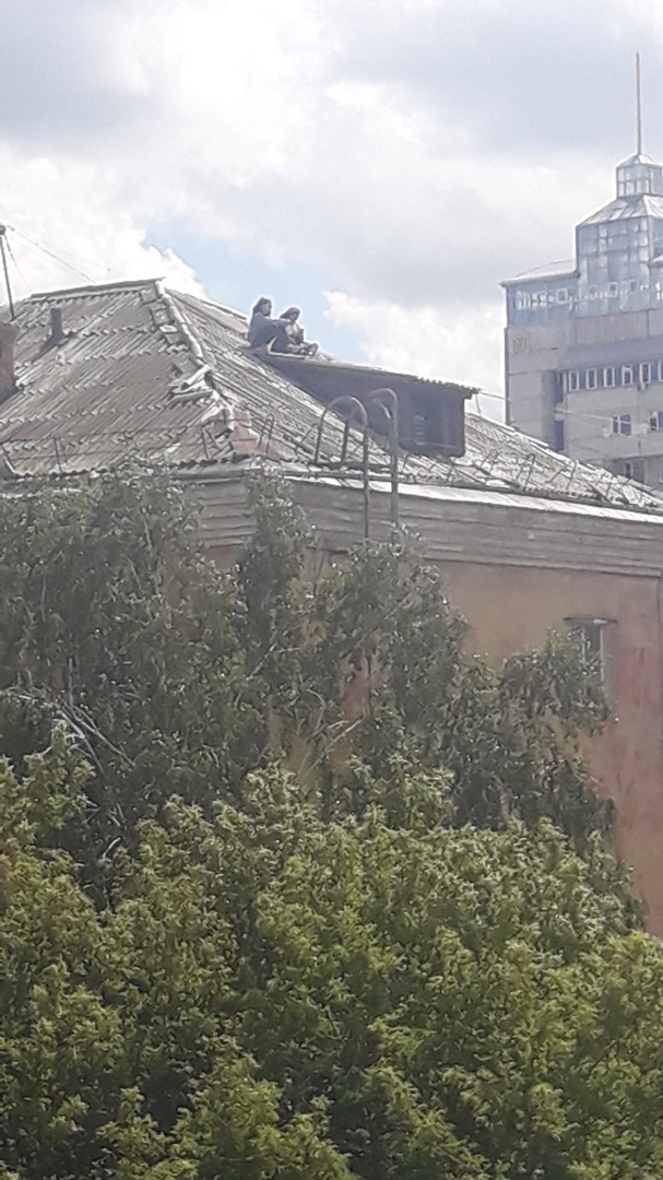 В Омске школьницы-руферши залезли на крышу и ошеломили прохожих В Омске школьницы-руферши залезли на крышу и ошеломили прохожих