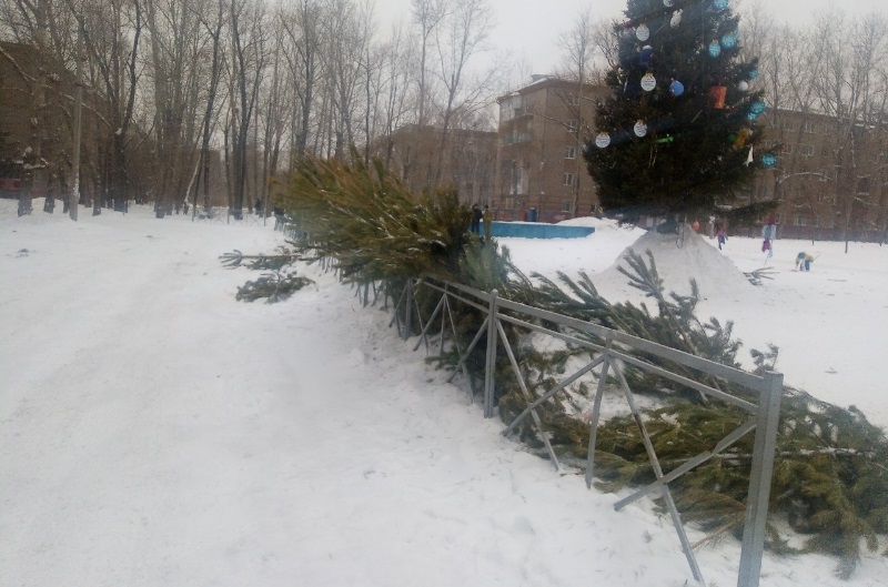 Омск завалило бесхозными елками Омск завалило бесхозными елками