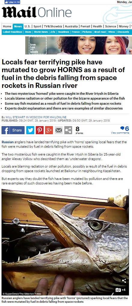 Рогатые щуки-драконы, выловленные в Омской области, прославились на весь мир Рогатые щуки-драконы, выловленные в Омской области, прославились на весь мир