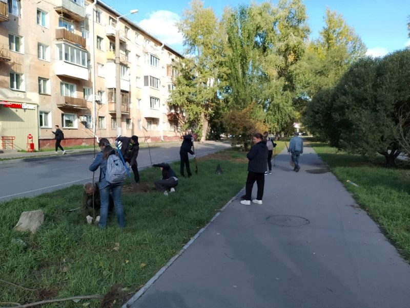 Мэр Омска Сергей Шелест рассказал о высадке деревьев и кустарников в ходе средника