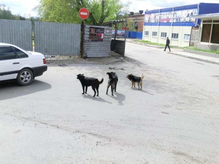 Заброшенная стройка на Кемеровской: когда оттает самый центральный омский «недострой»?