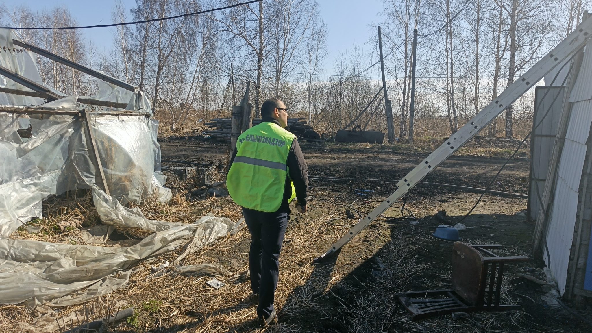 Омского землевладельца оштрафовали за хлам на участке Омского землевладельца оштрафовали за хлам на участке