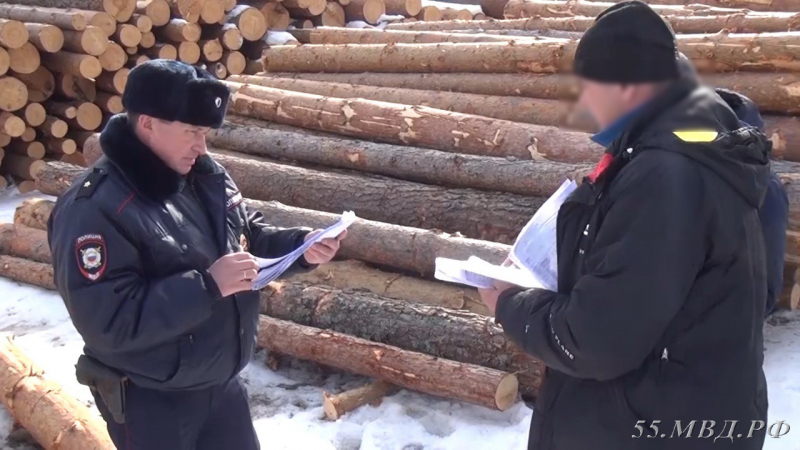 «Черные лесорубы» продолжают кромсать Омскую область