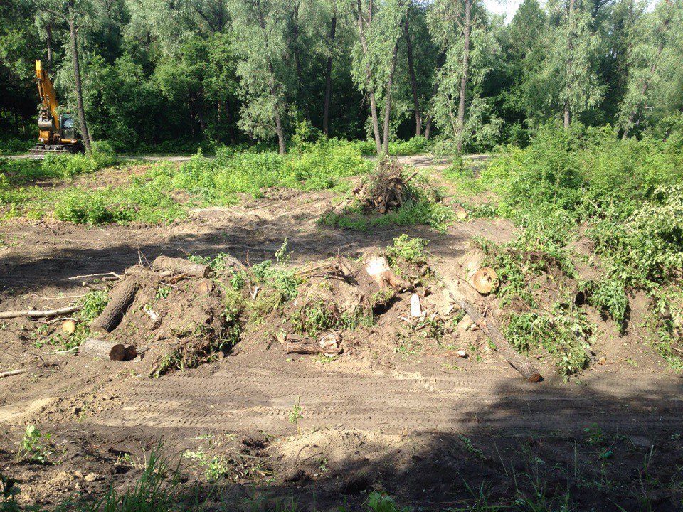На Зеленом острове в Омске экскаватор сгребает деревья