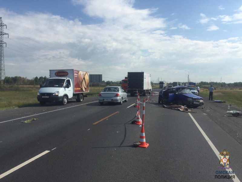 Появилось видео смертельной аварии под Омском, где погибла престарелая пара Появилось видео смертельной аварии под Омском, где погибла престарелая пара