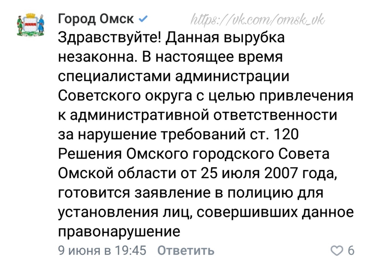 В Омске на месте вырубки деревьев началась стройка