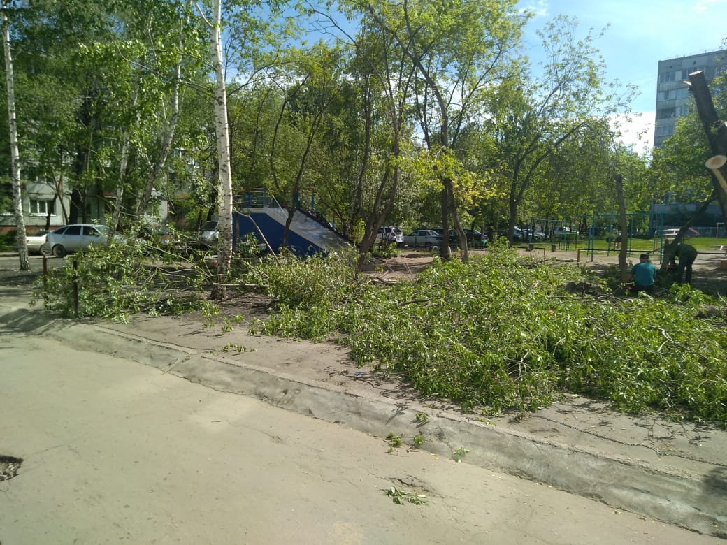 В омском дворе уничтожили деревья ради платной парковки под окнами дома – фото, видео В омском дворе уничтожили деревья ради платной парковки под окнами дома – фото, видео
