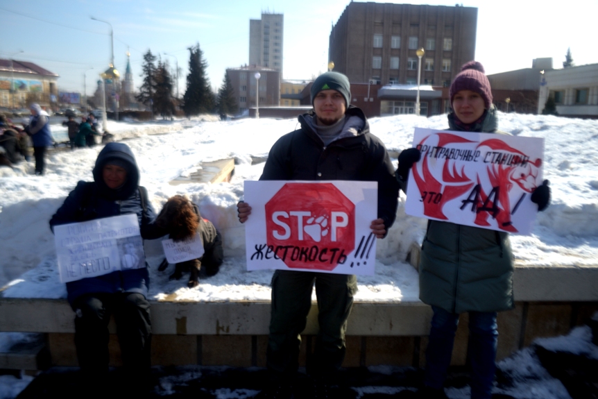 В Омске прошел очередной пикет в защиту животных В Омске прошел очередной пикет в защиту животных