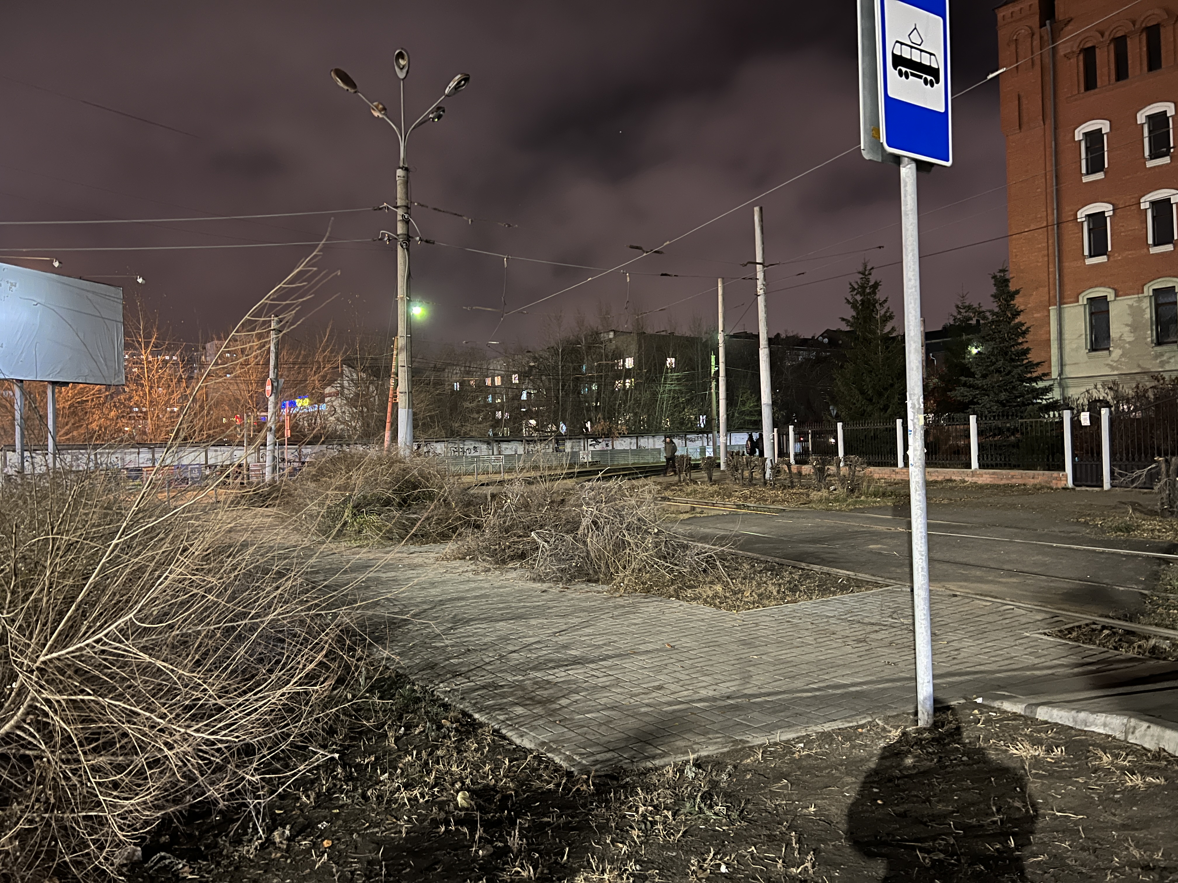 В Омске спилили зеленую изгородь на улице Маршала Жукова В Омске спилили зеленую изгородь на улице Маршала Жукова