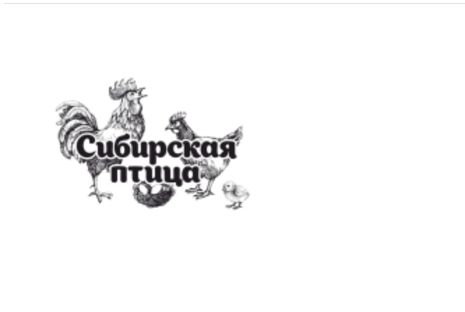 На омский рынок птицы заявился новый игрок На омский рынок птицы заявился новый игрок