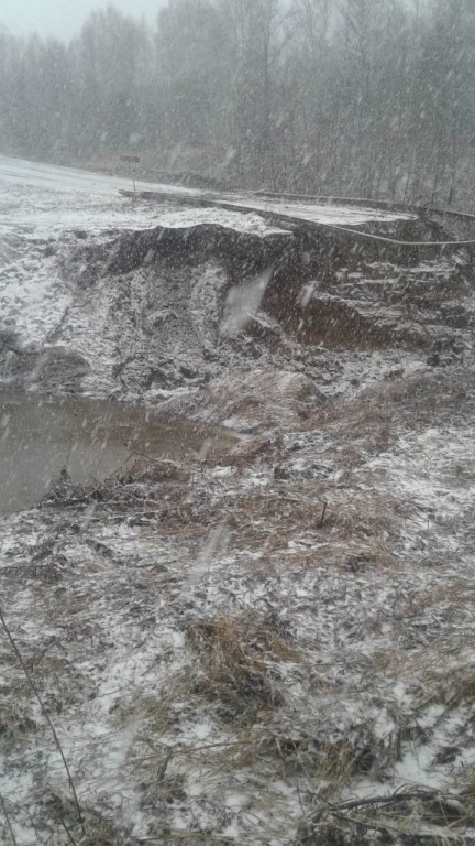 Мост из Муромцево в Низовое Мост из Муромцево в Низовое