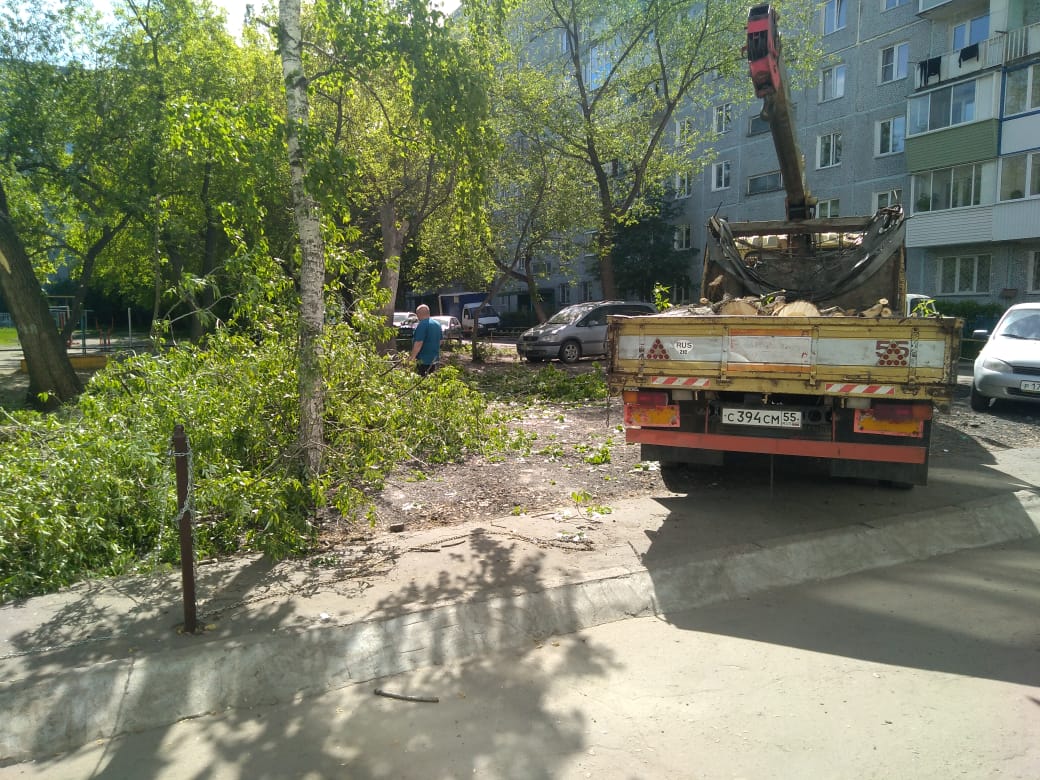 В омском дворе уничтожили деревья ради платной парковки под окнами дома – фото, видео В омском дворе уничтожили деревья ради платной парковки под окнами дома – фото, видео