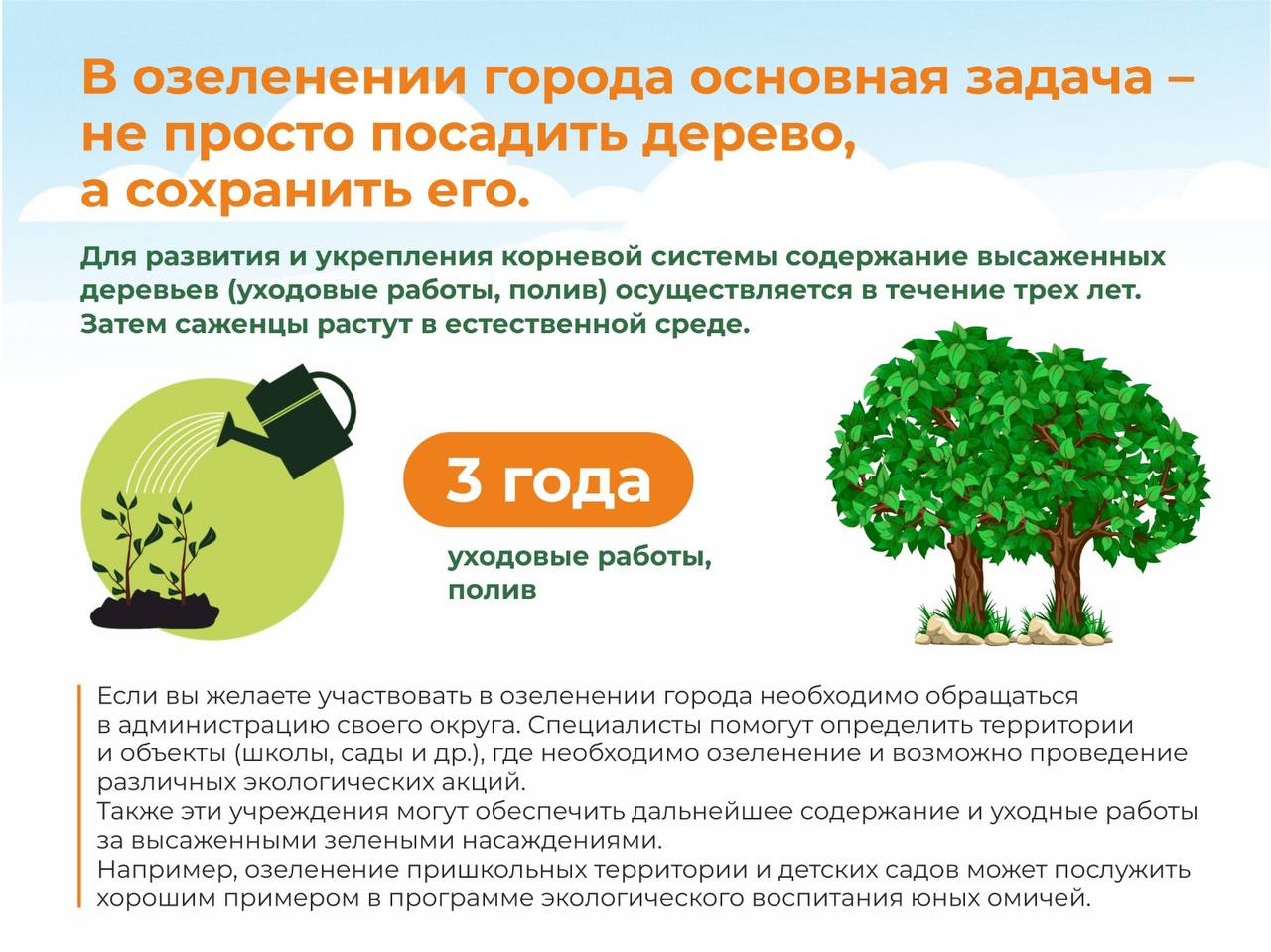 Заявлены масштабные планы по озеленению Омска в 2024 году Заявлены масштабные планы по озеленению Омска в 2024 году