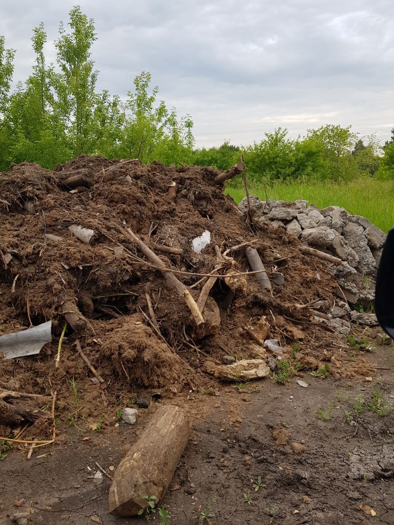 В Омске парк для пробежек превращается в свалку В Омске парк для пробежек превращается в свалку