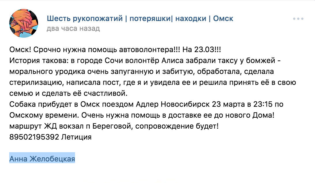 В Омск прибывает отобранная у сочинских бомжей такса В Омск прибывает отобранная у сочинских бомжей такса