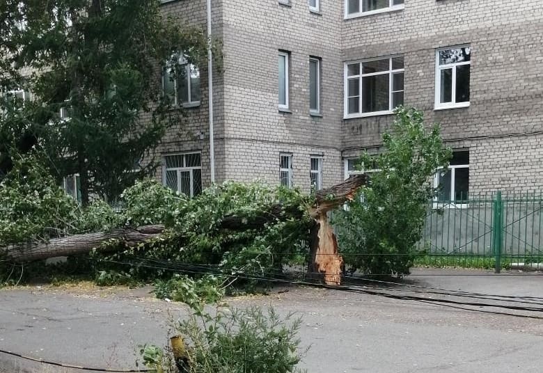 Бушующий в Омске ветер сносит деревья, заборы и остановки – ФОТООБЗОР