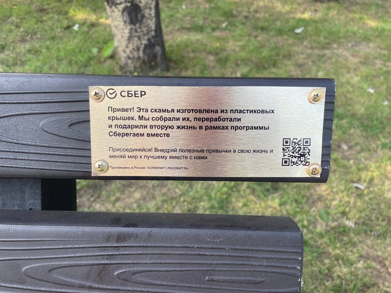 Сбер установил в сибирских городах скамейки и урны из переработанного пластика Сбер установил в сибирских городах скамейки и урны из переработанного пластика