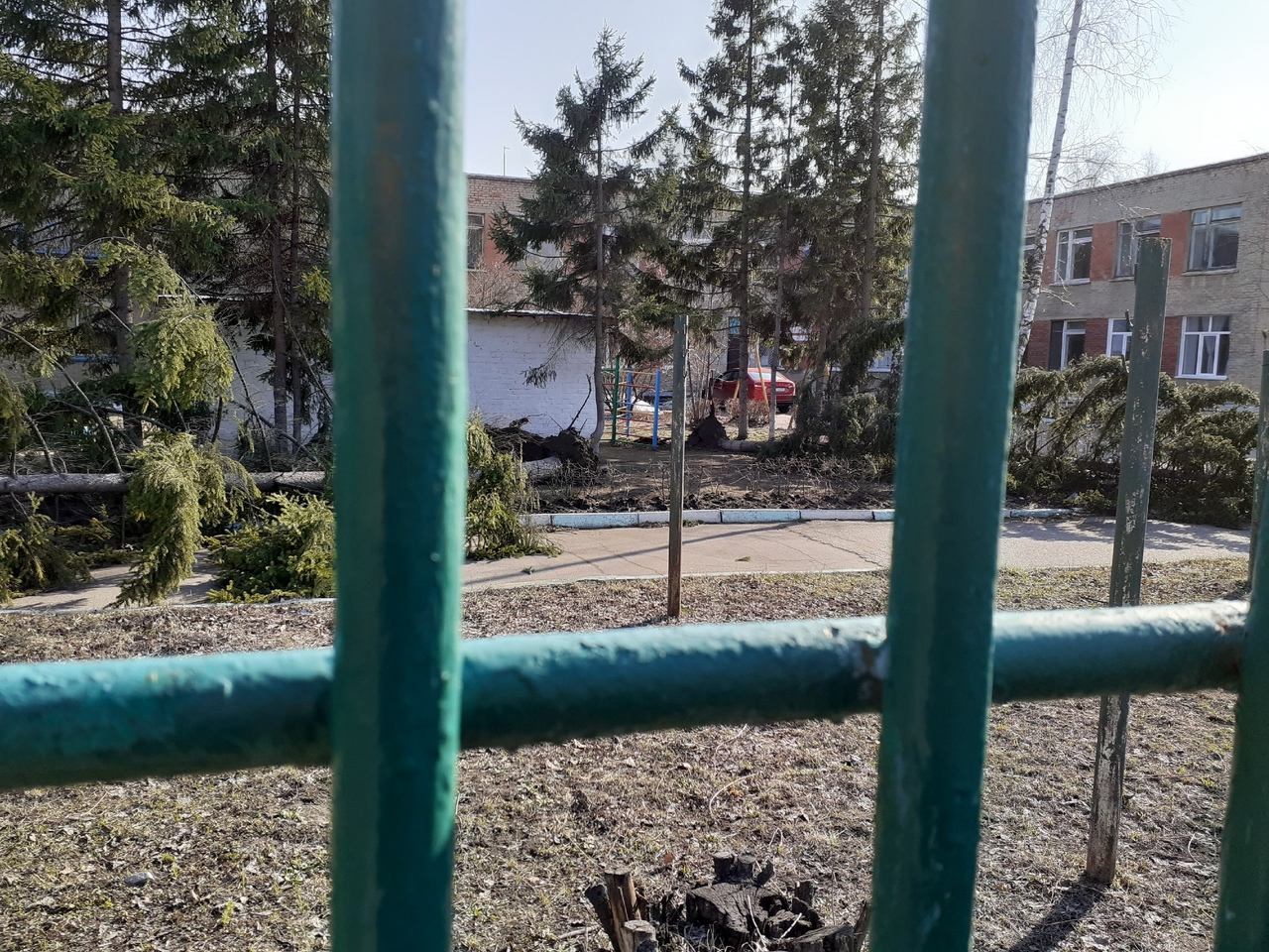 Возле омского детсада ураган вырвал с корнем огромные сосны – фото